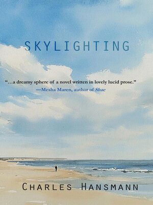 cover image of Skylighting